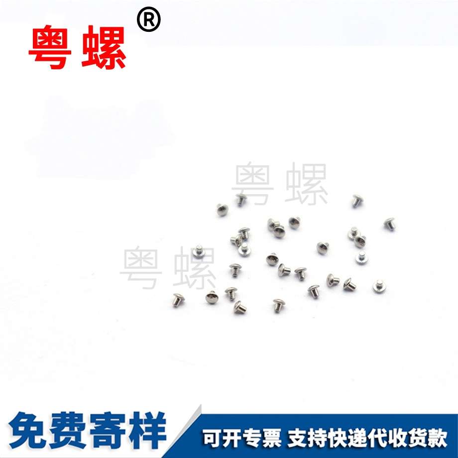 非標(biāo)儀器螺絲M2 非標(biāo)儀器螺絲M2