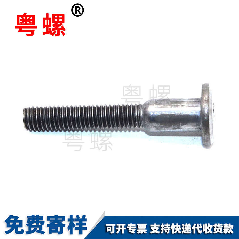 非標(biāo)平頭內(nèi)六角螺栓 非標(biāo)平頭內(nèi)六角螺栓