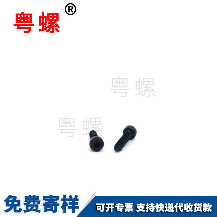 批發(fā)杯頭內(nèi)角銅川自攻螺絲