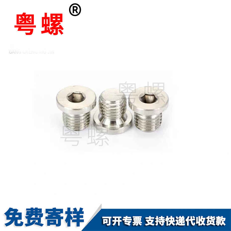 定制內(nèi)六角帶邊白城堵頭