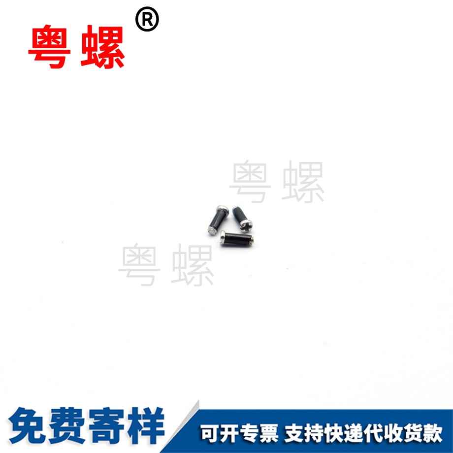 非標(biāo)手機(jī)盤頭十字鐘表眼鏡螺釘 非標(biāo)手機(jī)盤頭十字鐘表眼鏡螺釘