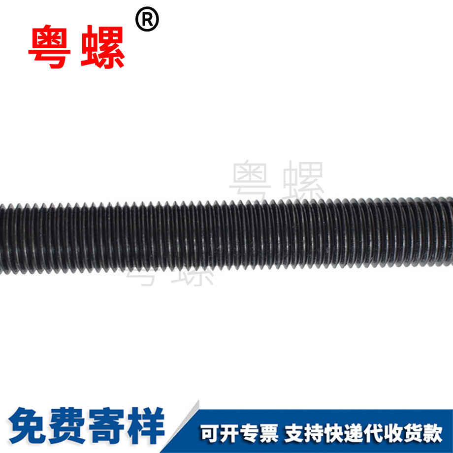 高強(qiáng)度秦皇島絲桿