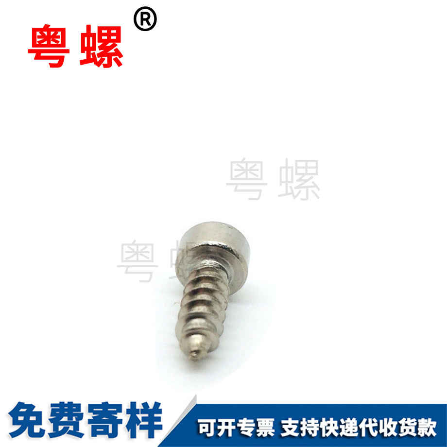 珠海杯頭梅花珠海珠海內(nèi)珠海六角珠海自攻螺絲